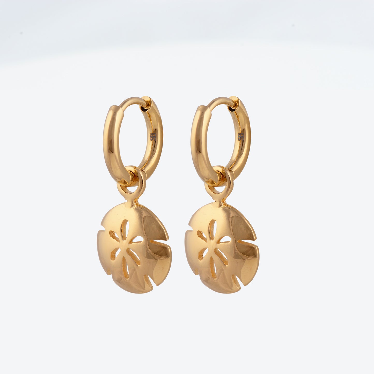 Sand Dollar Hoop Earrings - 12mm